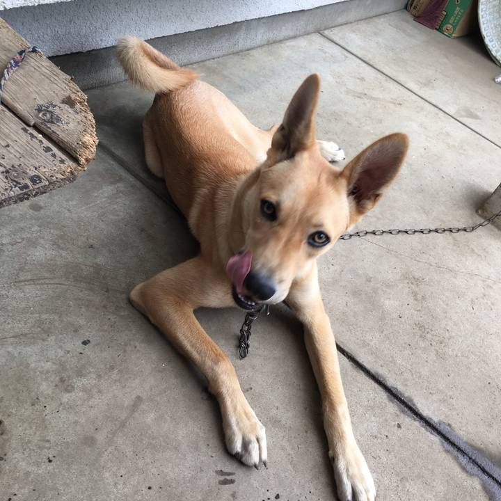 A83a5597 423f 403b 9e2d 417d447fd5ba