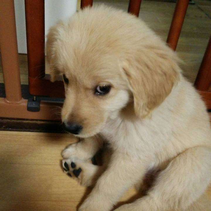 A83b221e f733 49cf 8d23 4693f0f645a5