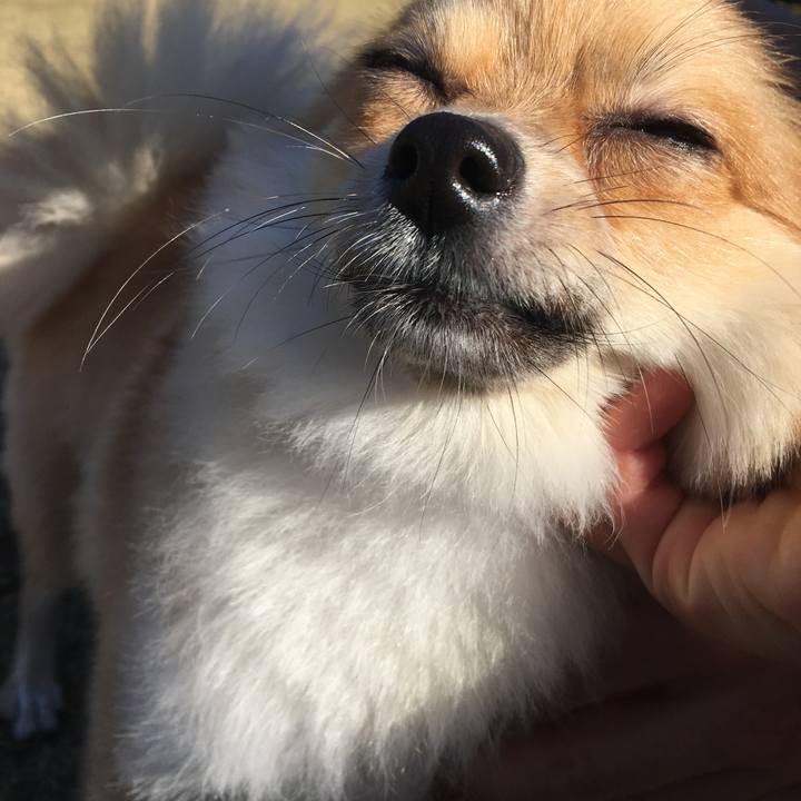 A83b2481 6382 4201 b28c 3d4d11bfd9ab