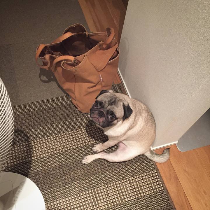 A83c2111 4ebf 45f4 a083 f94ed158c2e3