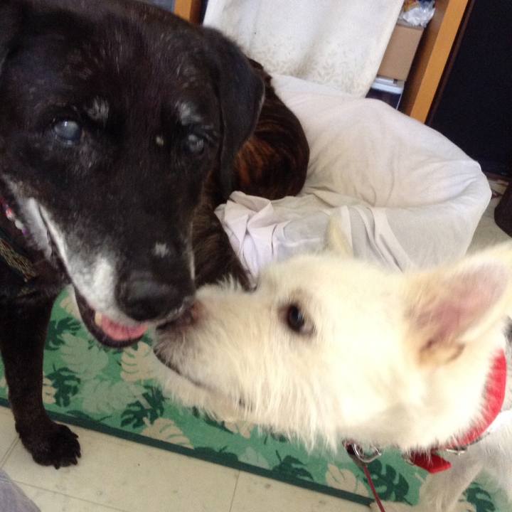 A83c7357 fc84 4d32 8b3b 669e14ccfb72