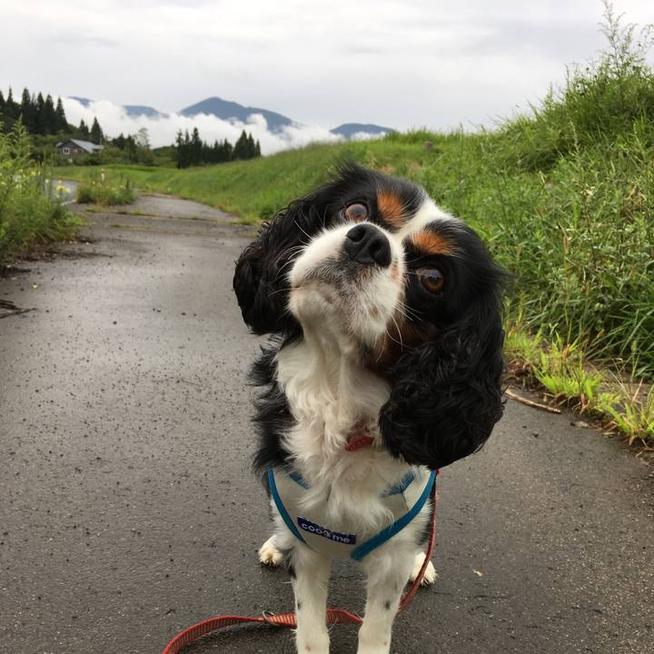 A83c810b 5c5e 4047 b401 6dd600bd3e68