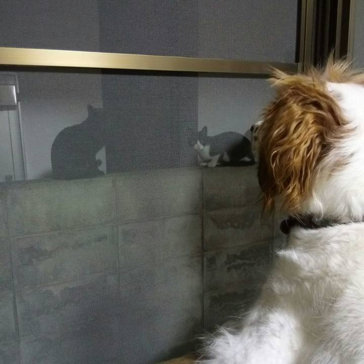 A83cb4fd 6e7a 4bfa b0ca 8dfc0afada6c