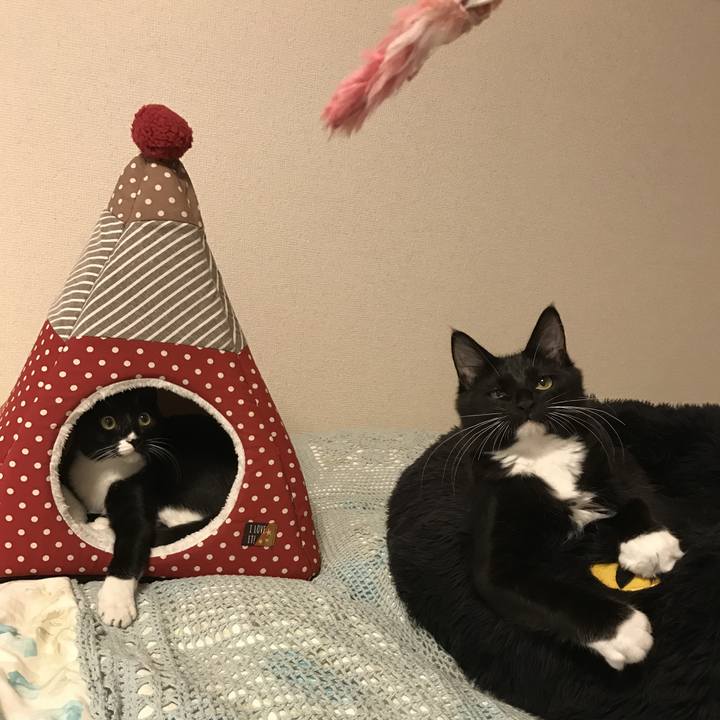 A83e0e2e 88d8 42c0 b50e 9faf716e4397