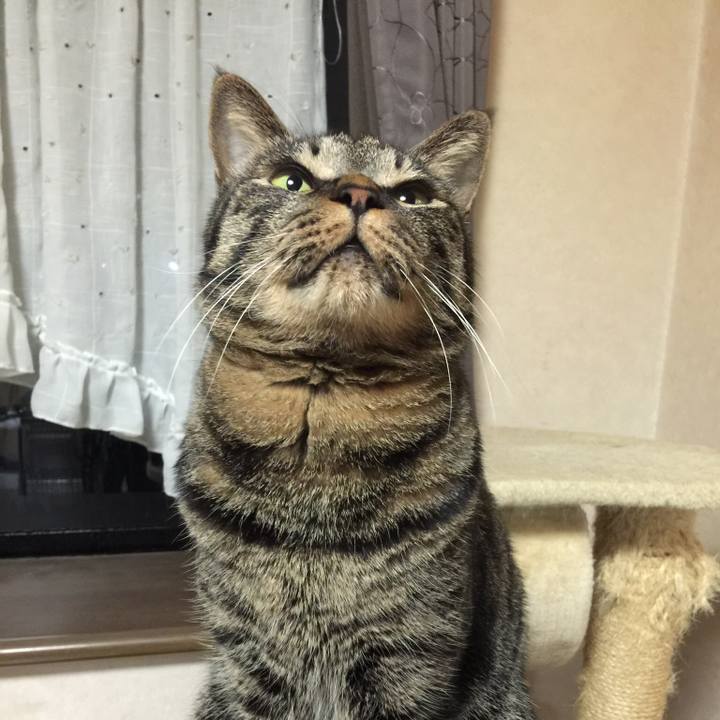 A83e1af6 3d9b 4cf8 beb6 901ce3c0675a