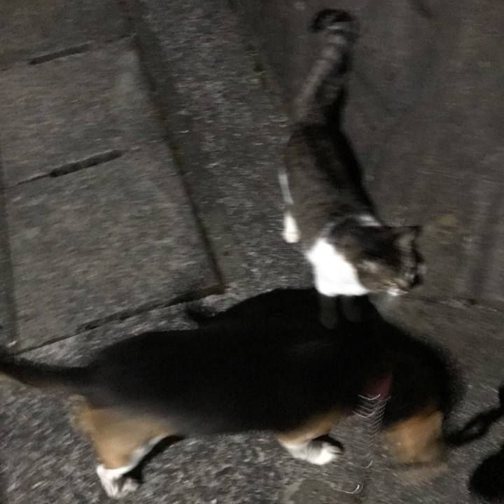 A83e3987 fba3 407b bd21 ee962cfd799a