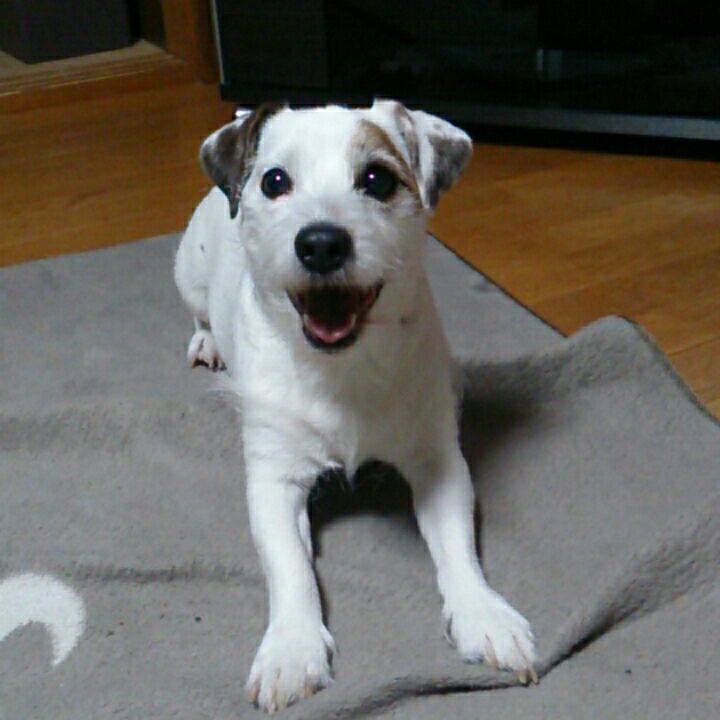 A83e6c89 d915 4ee9 b9b8 718a6f7f4726