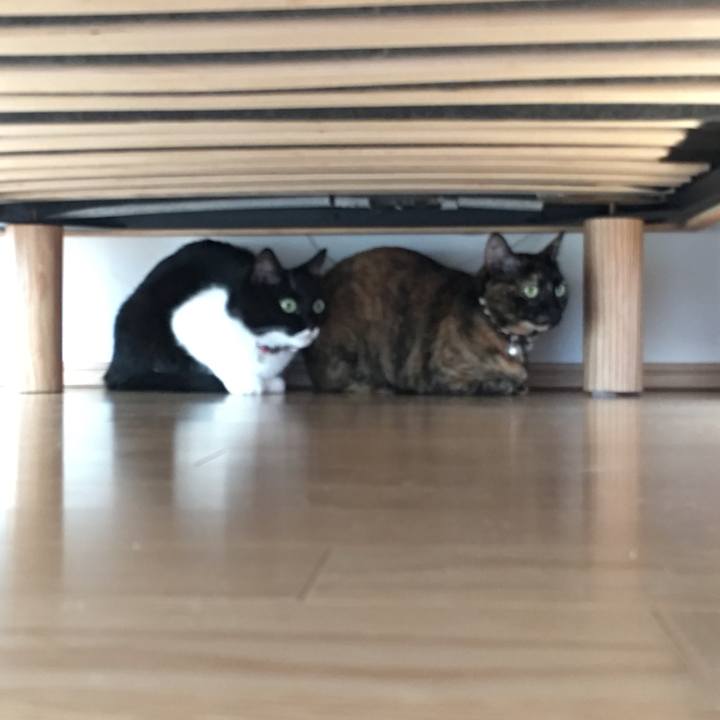 A83e909b c789 4d81 9554 2e876573f55d