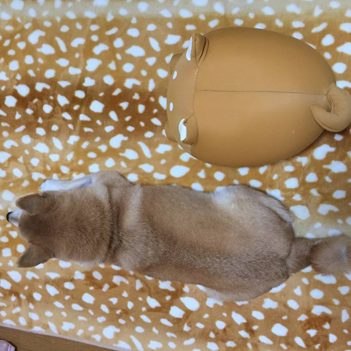 A83edfaa 2525 45d3 9dc0 1c8241fac819