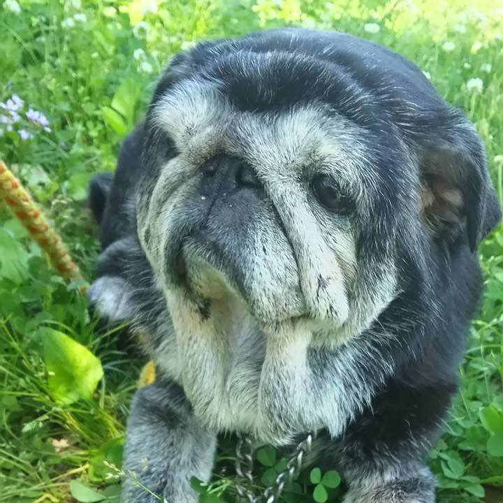 A83f0f8b f478 4eea b764 7e15c439fe18