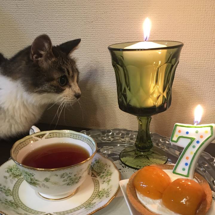 A83f2de0 2029 4fdd 8d0a a11416ccb029