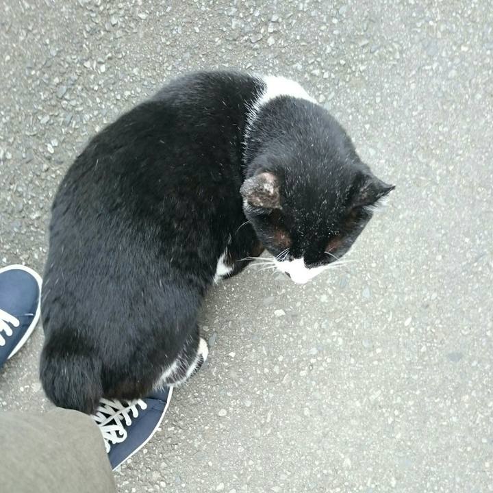 A83ff8db 9eaf 4ee6 b2e6 c01dc382b05a