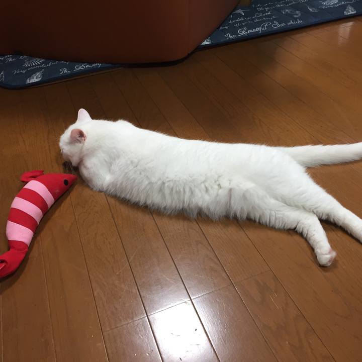 A8400bf7 0986 4881 8bed 37a195b755c2