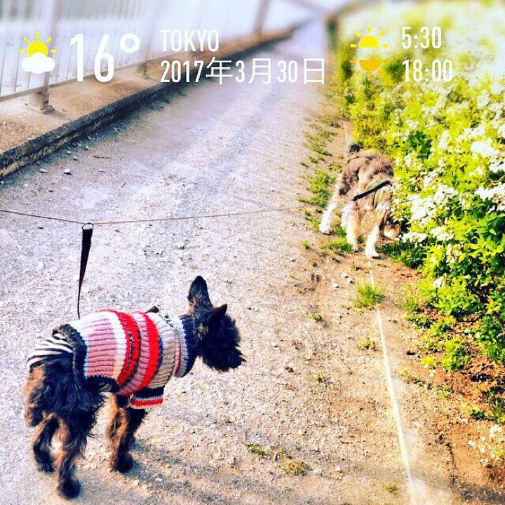 A8401a57 9868 403a 9350 ea5f4f77517c