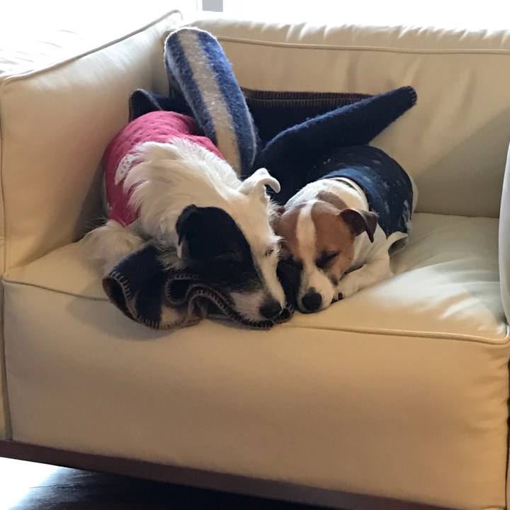 A8409aaa 10d1 4945 887e d665c71c5475