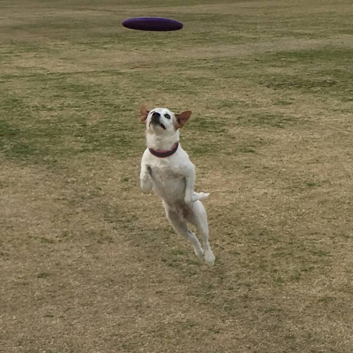 A841578d 98f6 4f43 868e a950bdfa981b