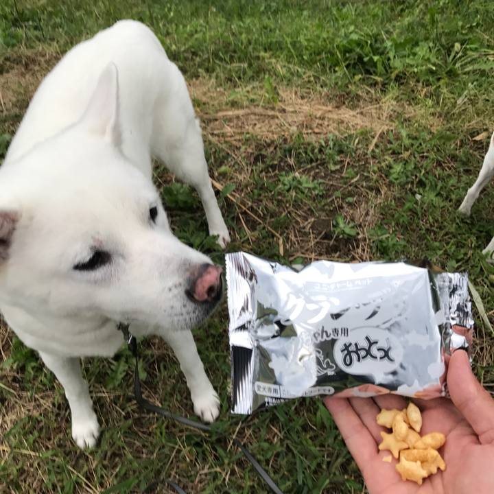 A841c281 9b43 44d8 ad02 7b98a87b3d2f