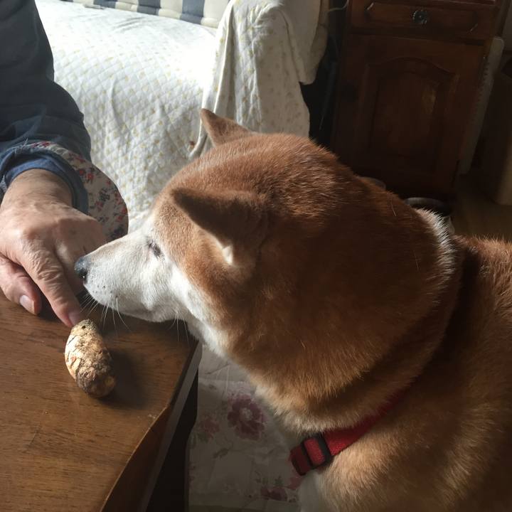 A8421fc9 a5b3 4105 bd85 de710d0fcbcd