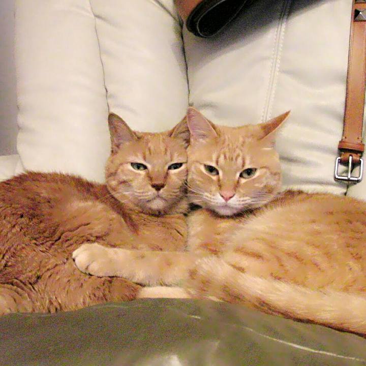 A8426434 5f47 417d 9144 22e56f1c7338