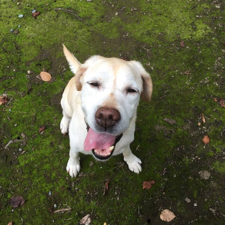 A842fe91 9b97 4941 bd6e 367505485ffc