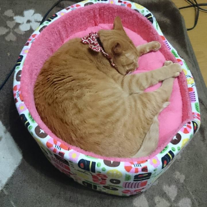 A8433127 4986 4d16 a881 81789792fd2c