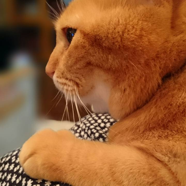 A8433d9f ca4d 4598 b298 61eebbec0fba