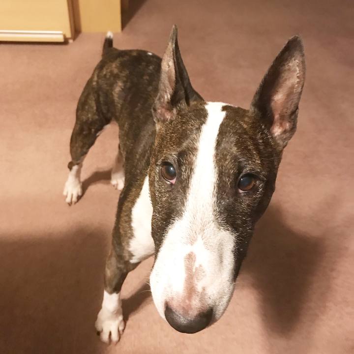 A8437000 4d74 4a74 8f9e 52af33b72ca0