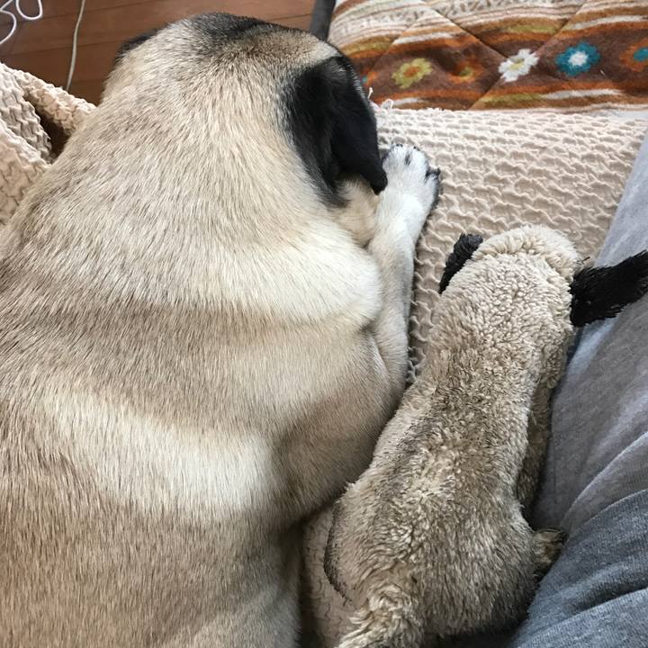 A844349b fd6a 441e b8a9 654b7e38ff22