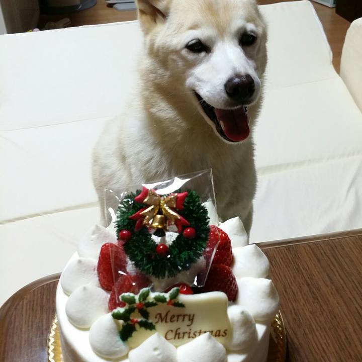 A844dfe7 30a6 4dfb a53a 2cd0a1fefcf5