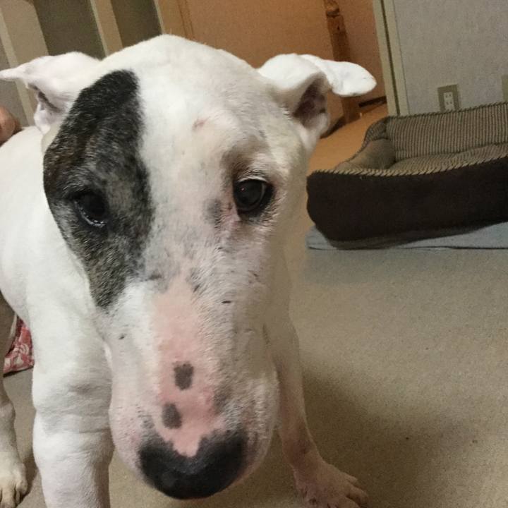 A8451e40 71fc 4e2f b772 1077d2ef1f39