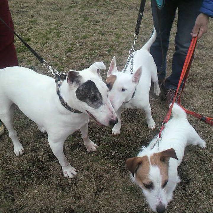 A8452c50 5de1 43e7 846b 39e4516363d1