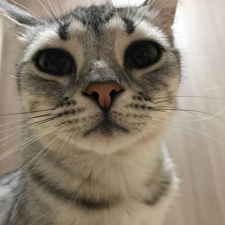 A84538b9 250f 487b 97e9 460d2379d062