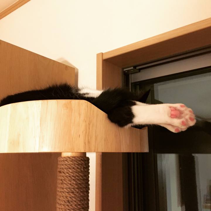 A84540b7 8a02 4787 ba4b cd970f3e015e