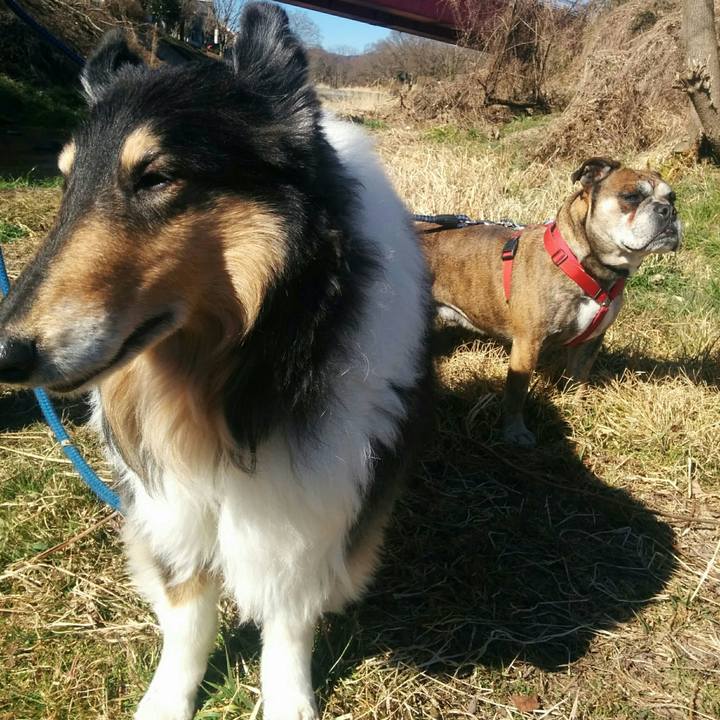 A84566bf 3408 4de5 bb0a 8a89a6f213ab