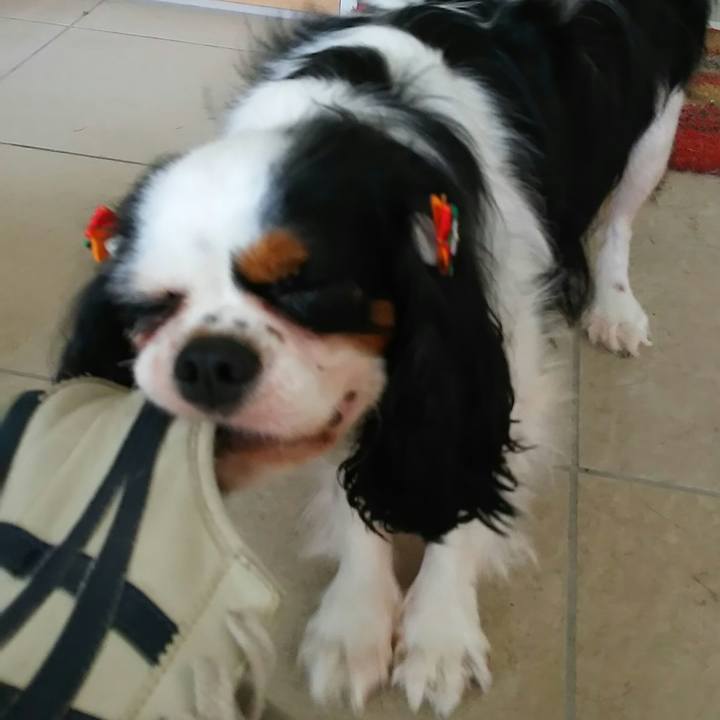 A84712e9 1b79 4ad3 904c efe3fadd7e5d