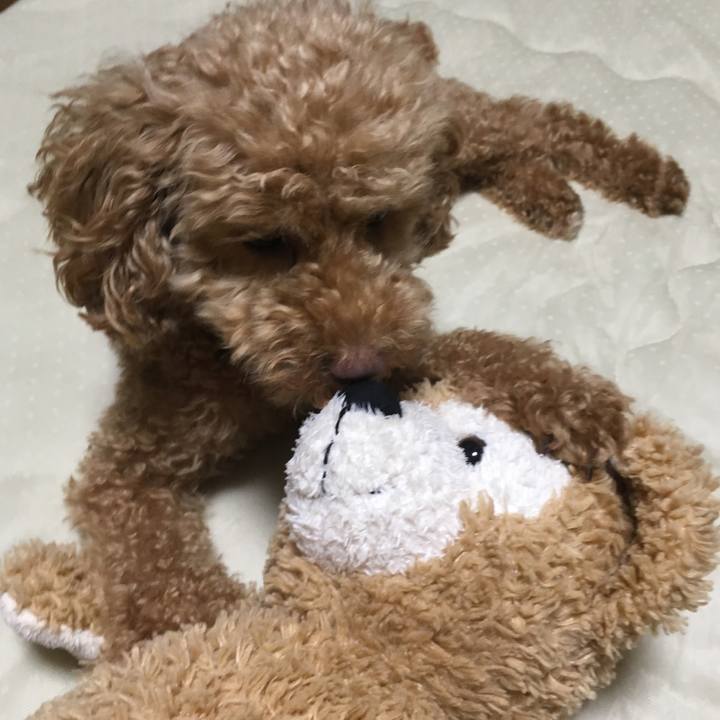 A84734b8 0820 4e12 8dba ff0b0d1b6eea