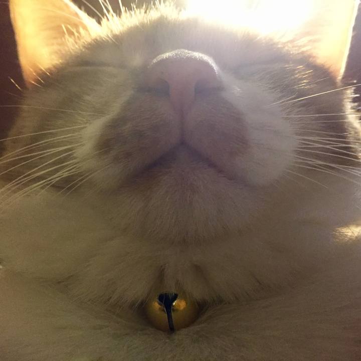 A84737b1 9147 415a a9c0 a0e5877ea5db