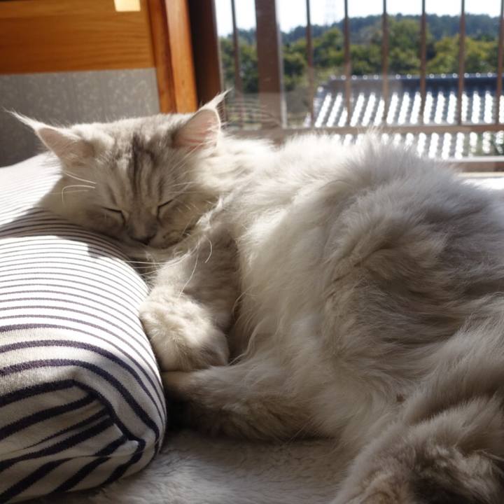 A84776d5 0503 4354 8df4 bd1ac808216d