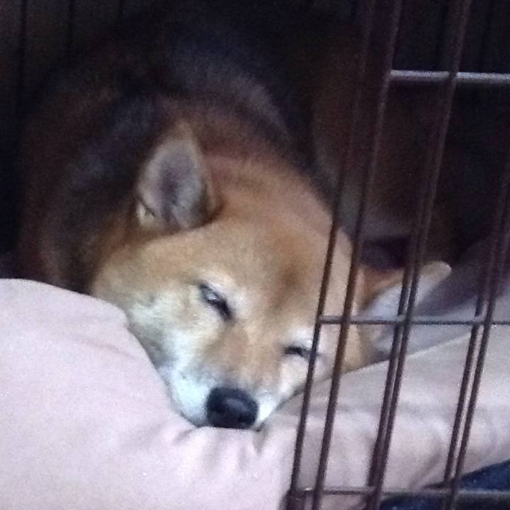 A8477bd6 a728 44b2 b8c6 744cbf27a268