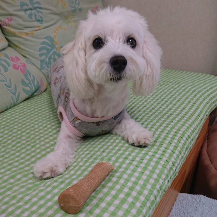 A847eb73 eb2e 449c 8845 a129af26180b