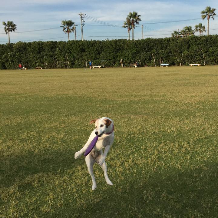 A847fa13 e043 47a7 9b7b 782be9a21610