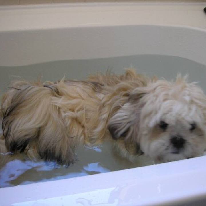 A84882df 32c7 4ff3 8701 491376595d2e