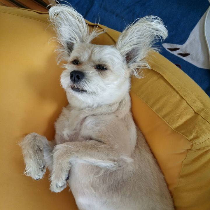 A848c3d8 89ed 485b a4f0 a71ee3aa6444