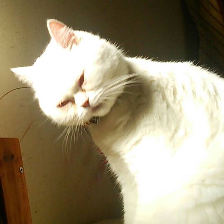 A8492533 a54a 473d ba99 b7571d58d6ca