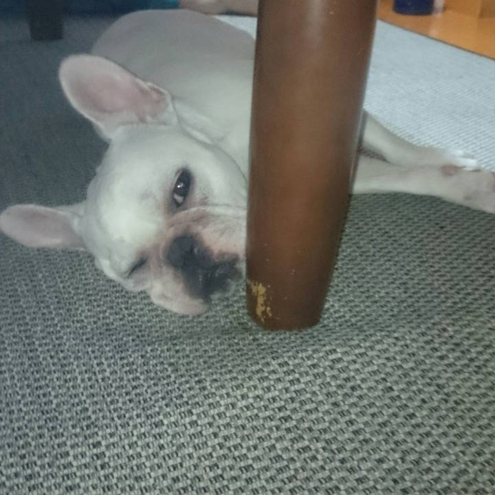 A8494d9c d0b6 44b9 9529 65ed4b1a2712