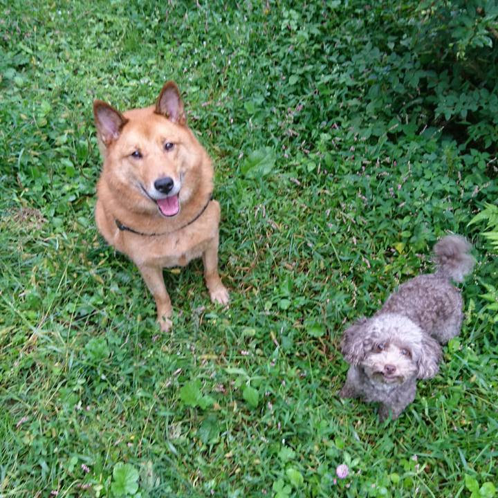 A8495733 6fdf 4855 93ce a03766ae0878