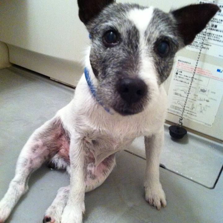 A8496cdd 15e0 4a68 b8ff 2b848c2ff775