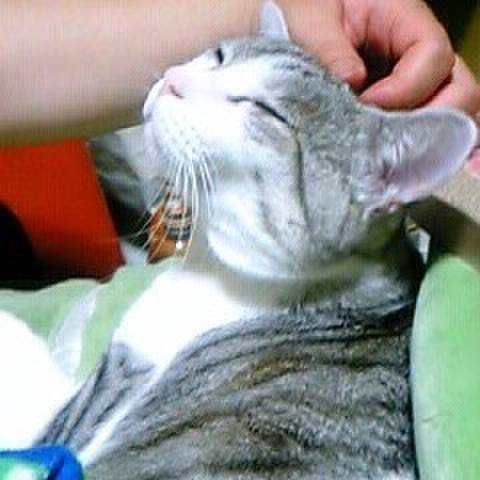 A84a20b4 236d 450a abf8 f532f3dc6f41