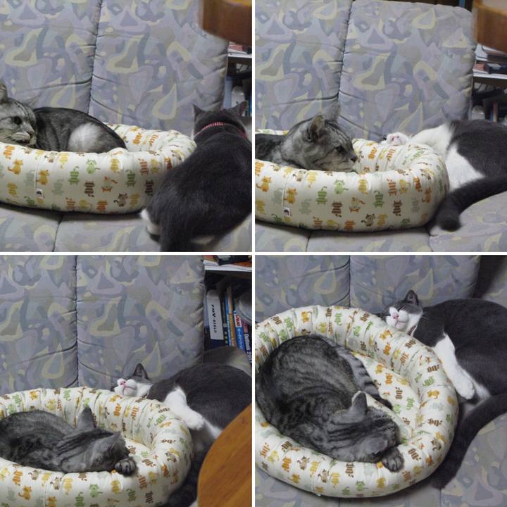 A84a4cc8 ef9d 4a0a 8717 5b93f0e77138