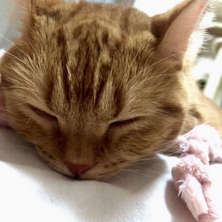 A84b310f f713 4405 8548 1d1114f18ee8